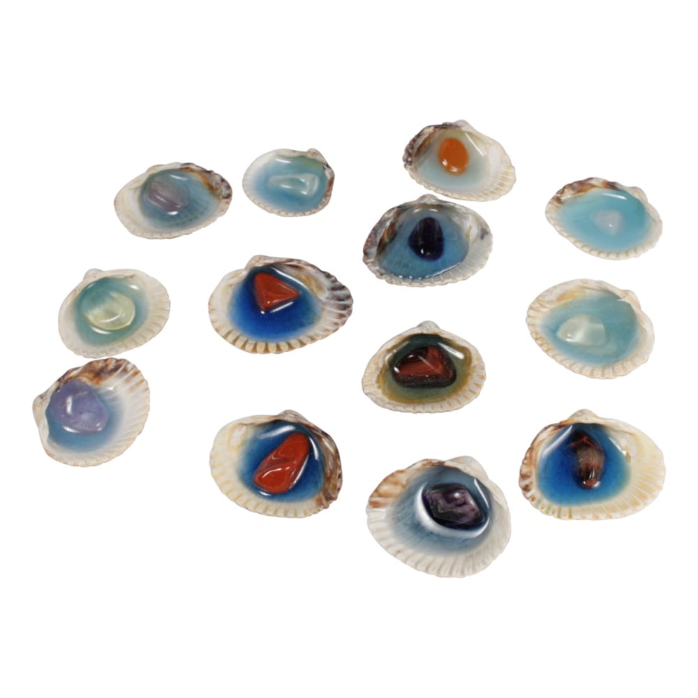 Schelpjes met edelsteentje