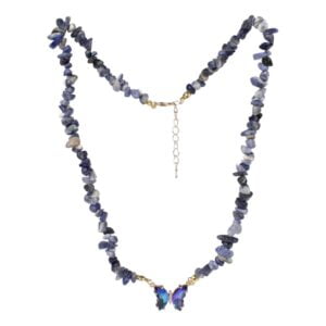 blauwe Splitketting sodaliet vlinder