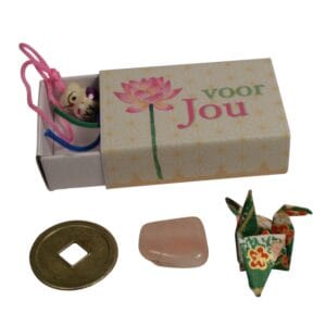 Geluksdoosje Voor Jou met geluksbrengers